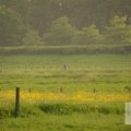 IMG_903156