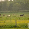 IMG_903164