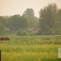 IMG_903168