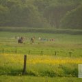 IMG_903267