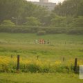 IMG_903268