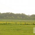 IMG_903311