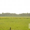 IMG_903312