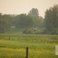 IMG_903313