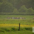 IMG_903316