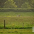 IMG_903320