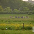 IMG_903332