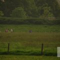 IMG_903342