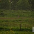 IMG_903346