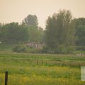 IMG_903374