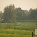 IMG_903375