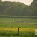 IMG_903376