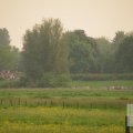 IMG_903377