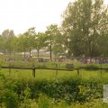 IMG_903484
