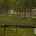 IMG_903786