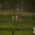 IMG_904074