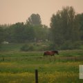 IMG_904184