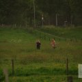 IMG_904204
