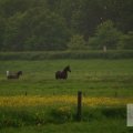 IMG_904205
