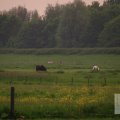 IMG_904210