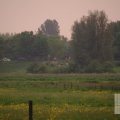 IMG_904211