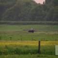 IMG_904295