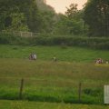 IMG_904296
