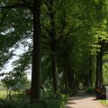 IMG_904360