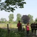 IMG_904361