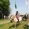 IMG_904441