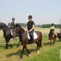 IMG_904451