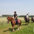 IMG_904458