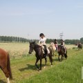 IMG_904460
