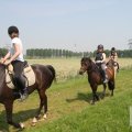 IMG_904462