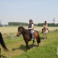 IMG_904463