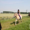 IMG_904464