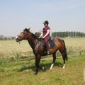 IMG_904467