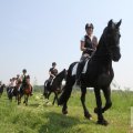 IMG_904477