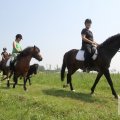 IMG_904479