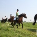 IMG_904480