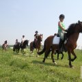 IMG_904481