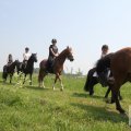 IMG_904482