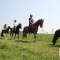 IMG_904484
