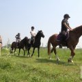 IMG_904485