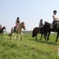 IMG_904487
