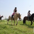 IMG_904488