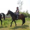 IMG_904514