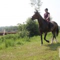 IMG_904515
