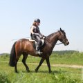 IMG_904526