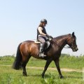 IMG_904527